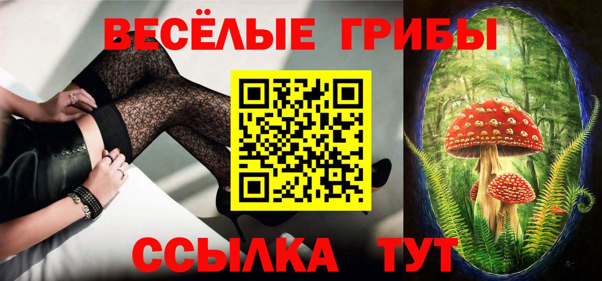Качканар  цены   Вход с VPN  Галлюциногенные грибы Cubensis 